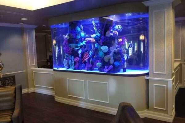 How to make a fish tank decoration