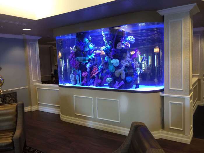 How to make a fish tank decoration