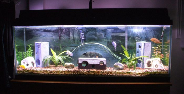 How to make a fish tank decoration